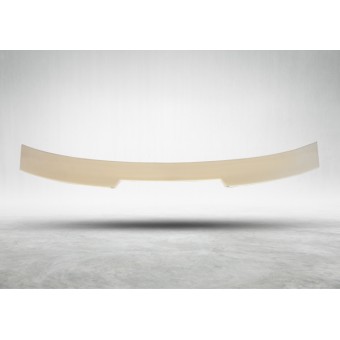 Tavan Spoyleri F22+LCI -///M2-STYLE-